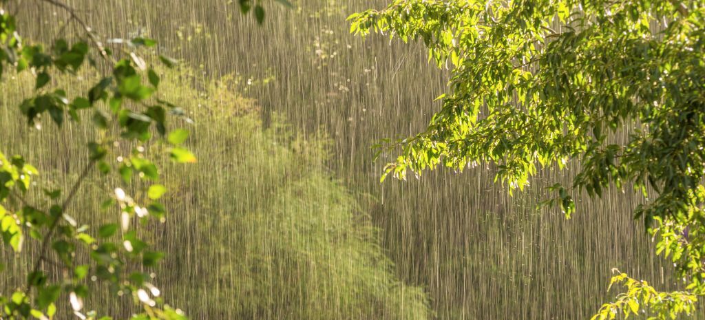 Bienestar Emocional y Sostenibilidad: Cómo Cuidar el Planeta Comenzando con el Agua de Lluvia